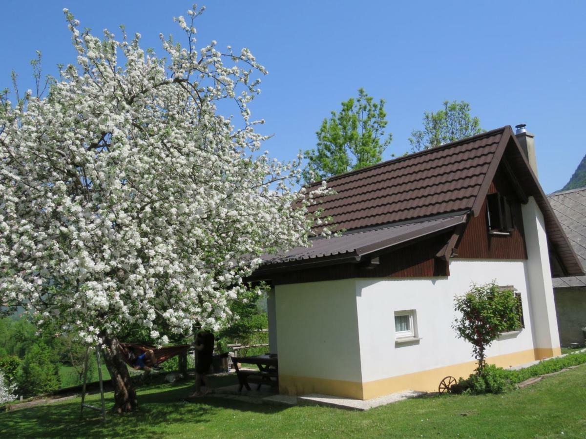 Pocitniska Hiska Jager Cezsoca Villa Exterior photo