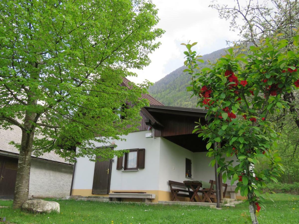 Pocitniska Hiska Jager Cezsoca Villa Exterior photo